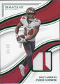 2023 Panini Immaculate Chris Godwin 2 color patch 13/23
